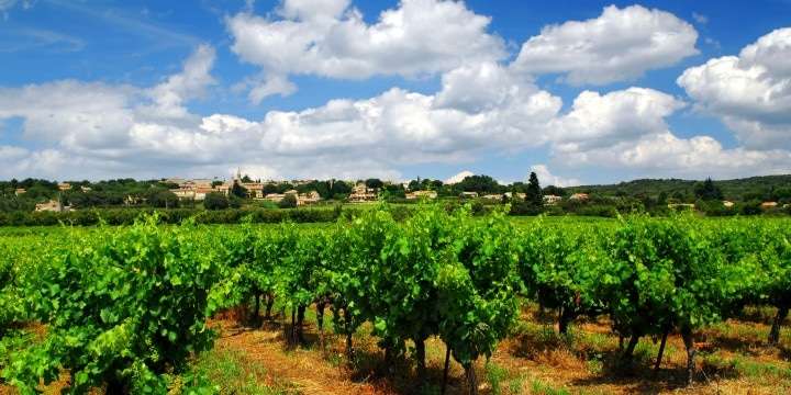 Utforska viner från Apulien – Italiens klack