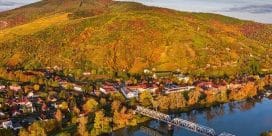 Tokaj och Villany – Ungerns äldsta och mest dynamiska vinregioner