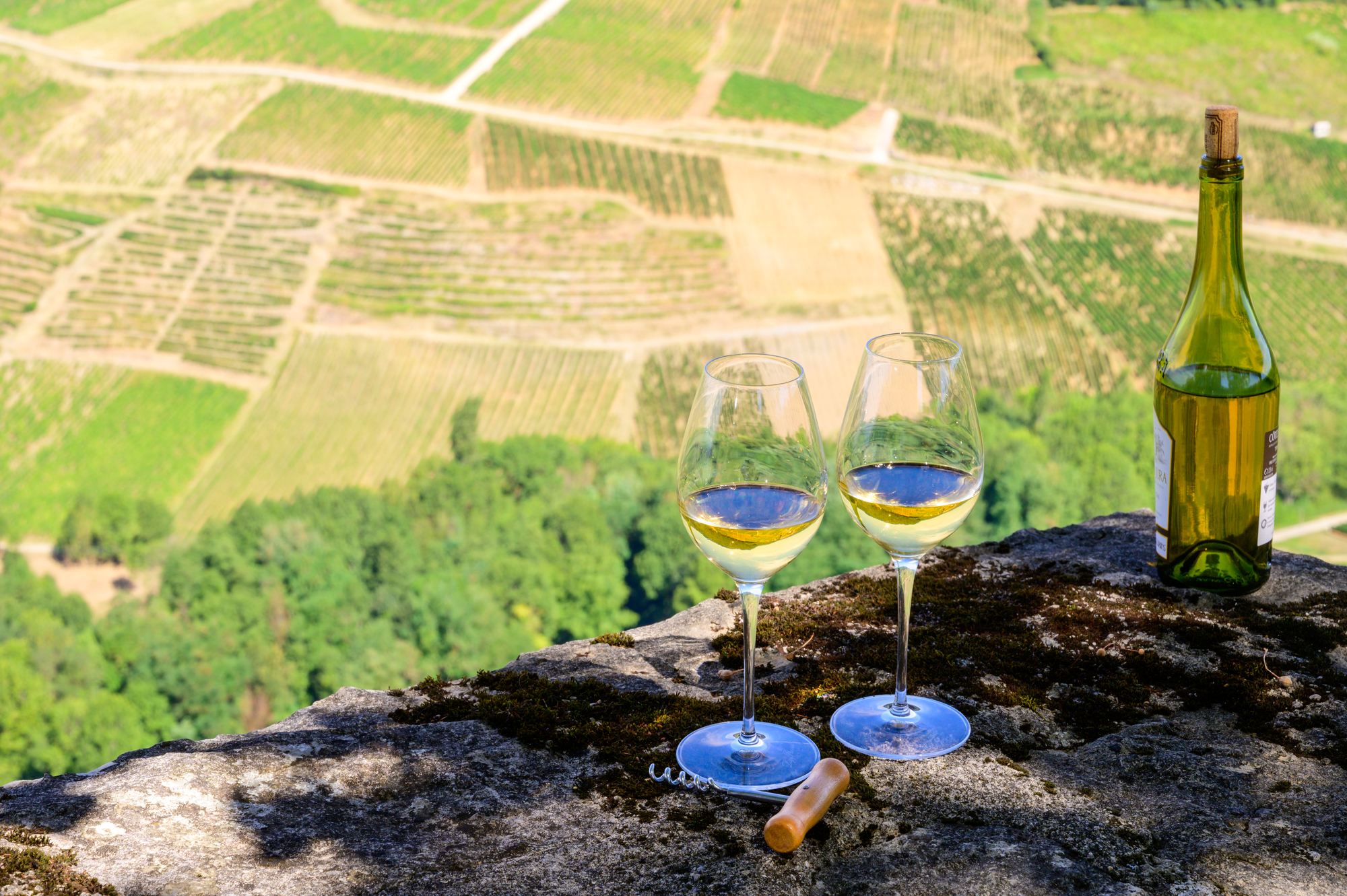 Vinregionen Jura