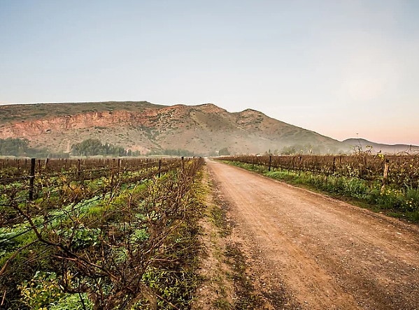 hållbart vin - sydafrika vy över bergen
