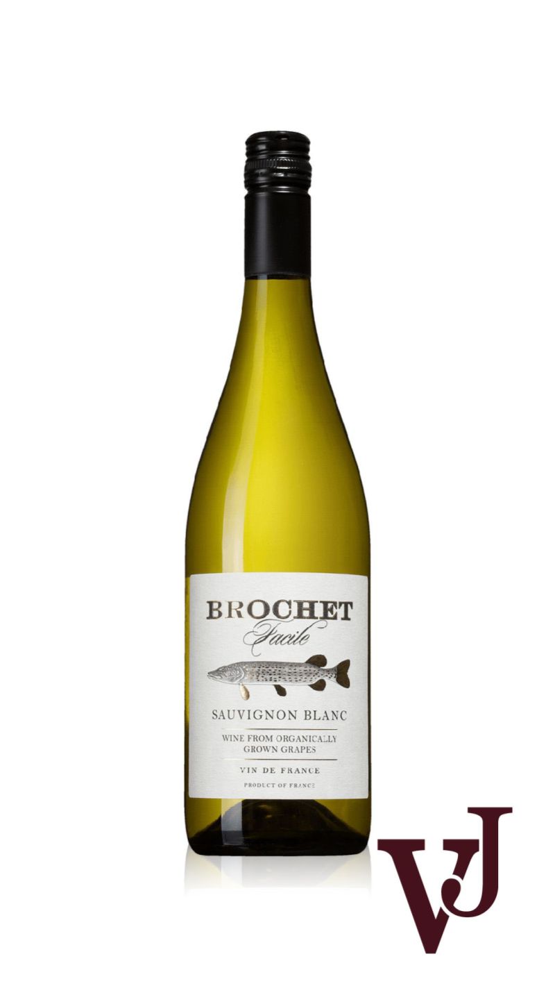 Vitt Vin - Brochet Facile Sauvignon Blanc artikel nummer 226701 från producenten Ampelidae från området Frankrike - Vinjournalen.se